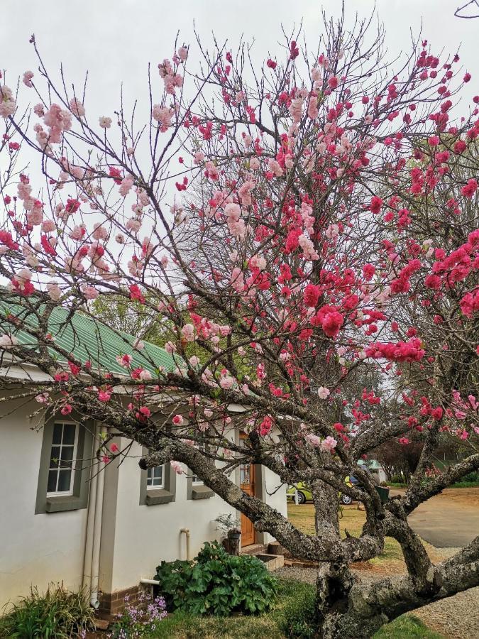 Sani Window B&B And Self Catering Underberg Luaran gambar