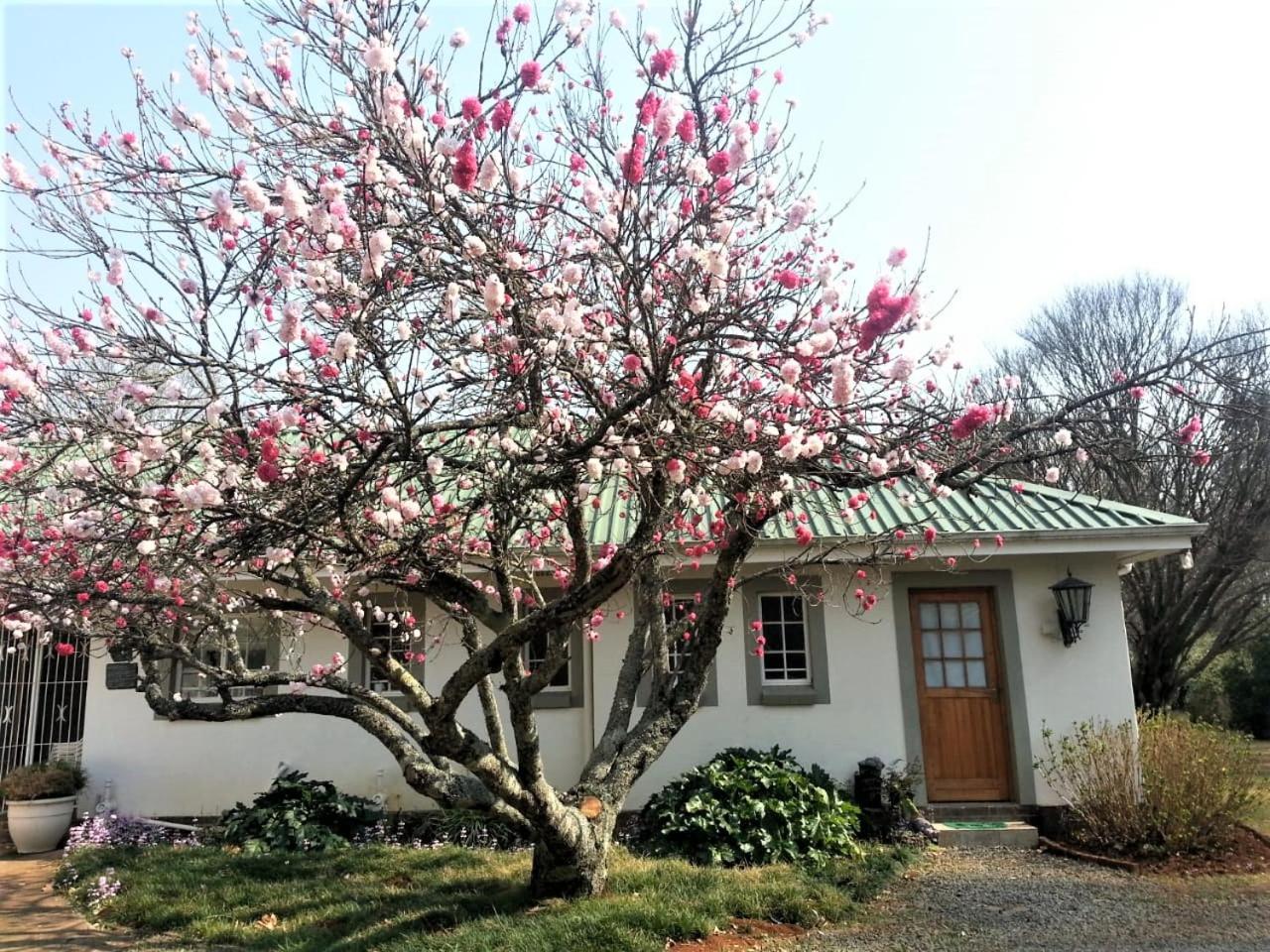 Sani Window B&B And Self Catering Underberg Luaran gambar